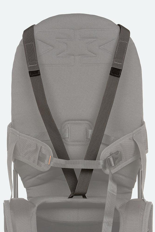 Variant: Shoulder strap